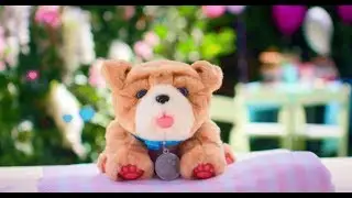 Little Live Pets | Rollie My Kissing Puppy 15sec TV Commercial