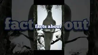 The Shocking Truth About Graves in Islam! WATCH NOW#shorts  #trending #islamic  #shortsfeed#fypシ