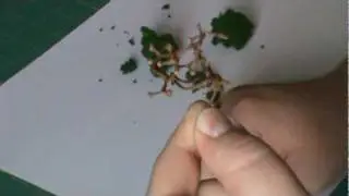 Terrainoob's Quick Tips - Grapestems