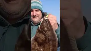 Flatfish fishing on the Baltic Sea 😲🎣 #fishing #seafishing #fishing