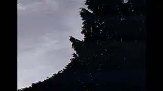 AHS V/H/S | Fan made Intro