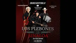Ojitos Negros Chinitos - Los Plebones De Sinaloa 