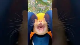 😳
