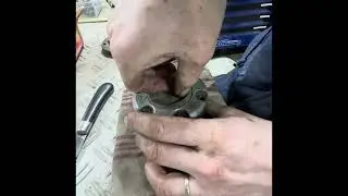 Assemblage et vue d&eacute;taill&eacute;e d&rsquo;un moyeux Debrayable Aisin
