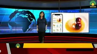 Malaysia Mid-Day & Closing Palm Oil Market Updates | Download the MBLion Oleochemicals App Now! 📲