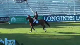 Video of WAOMI ridden by ALEX GRANATO from ShowNet!