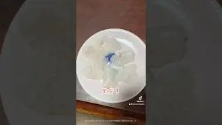 鱧のお刺身😋