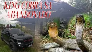 MAG ASAWANG KING COBRA SA ABANDONADONG BAHAY#cobraprince 