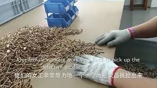 Chinese Factory Customized Cold Heading Wood Screw, 2 Days, 100% Inspection
