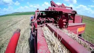 Робота в полі Xingtai 24B + Прес підбирач Massey Ferguson 15-8
