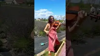 Violin vs. wind 😀 #violin #skrzypce #lavender #perfect #violinist #violincover #cover #music