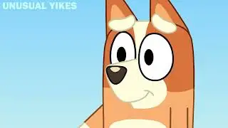 YOU GOT A PROBLEM? (Bluey)