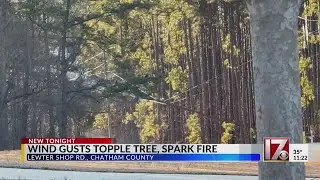 Tree blown onto power lines sparks Chatham Co. fire