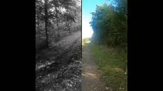 Mega Marsch  Wirhgehenweiter 3