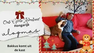 Genieten Van Een Rustige Kerst | wonen in Hongarije | Vlogmas {25} #29