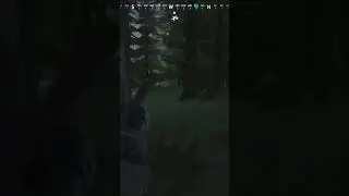 Второго так и не нашел #vigor #ps5 #gamepad