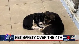 Fireworks and pet safety over the Fourth of July