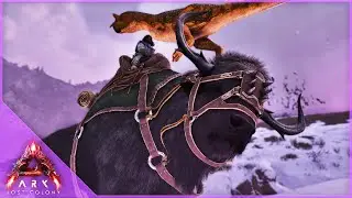 I Made A Really Huge Mistake This Time Around! | ARK Lost Colony [EP4]