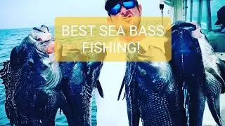 CRUSHING black sea bass on the wrecks off the coast of Virginia Beach!