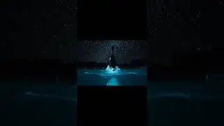 Orca & Trainer Create a Bioluminescent Galaxy in Slow Motion (8K Cinematic)