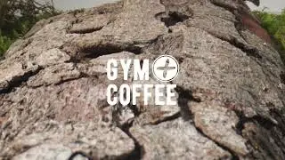 Woodland Texture | Gym+Coffee