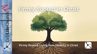 Firmly Rooted in Christ | Living from Identity in Christ &mdash; Week 1