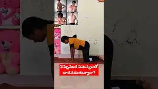 Suffering from back problems?#spinalhealth #trending #yoga#backpain #shorts #short#youtube#viral