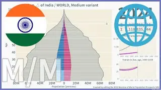 [🇮🇳India vs 🌐WORLD] Comparison of Population Pyramids (1950-2100) / 2022, Medium