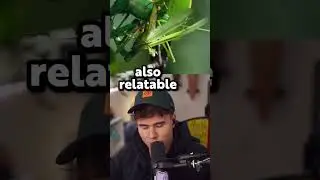 He still got some... #blau #animals #reaction #naturedocumentary