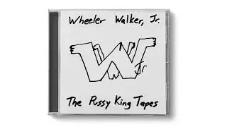 Wheeler Walker Jr. - Pictures On My Phone (Home Demo)