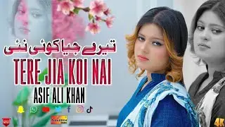Tere Jia Koi Nai | Asif Ali Khan | Punjabi Saraiki Song | Shaheen Production