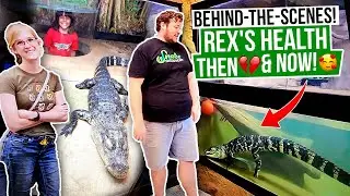 EMILY, ED talk about REX HEALTH!Rex Feeding! Rex's BEST Life with EMILY & ED !