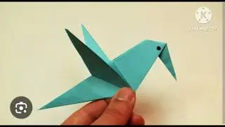 50 State Birds In United States Of America