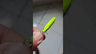 Segredo pra ter sucesso na PESCARIA DE ROBALOS! #BAITS #PESCA #FISHING