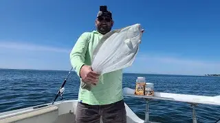 Mid Week Fluke Trip Niantic, CT