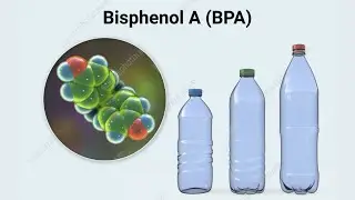 Bisphenol A, Chemistry, Applications, and Environmental Impact | BPA Alternatives | BPA Free