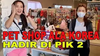 Pet Shop Ala Korea Hadir di PIK 2 Jakarta