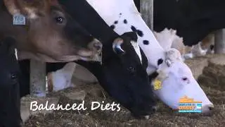 Meet the Davis Dairy Farm Family from Tennessee