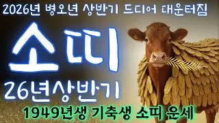 기축생 소띠운세🎊2026년 상반기 신년운세 하늘이 도와주는 복이 많은 사람 금전문이 열리기 시작했습니다🔥병오년 운세 1949년생 운세 49년생 소띠49년생2026년운세