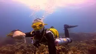 St. Thomas SCUBA Diving-Coral Bowl