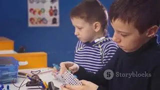 STEM vs. STEAM: What's the Difference?