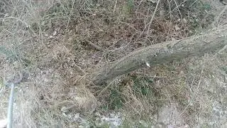 KIS LÉPÉS.......NAGY VÁLTOZÁS 2. rész