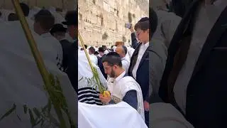 Traditional priestly blessing (birkat kohanim) in Sukkot at the Western Wall in Jerusalem. 2025