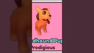 All Prodigious Metallic Pets in Collect All Pets