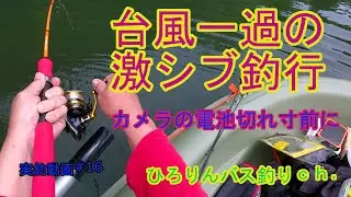 台風一過の激シブ釣行　カメラの電池切れ寸前に