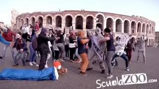 Harlem Shake verona (arena)