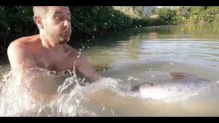 Pacu and striped catfish whilst fishing from The Bay.