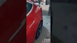 2020 tesla model 3 stealth &ldquo;sleeper&rdquo; performance carbon fiber spoiler upgrade