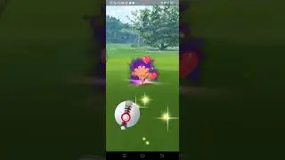 Catching A Shadow Vulpix