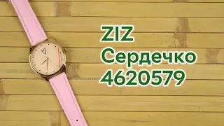 Распаковка ZIZ Сердечко 4620579